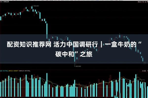 配资知识推荐网 活力中国调研行｜一盒牛奶的“碳中和”之旅
