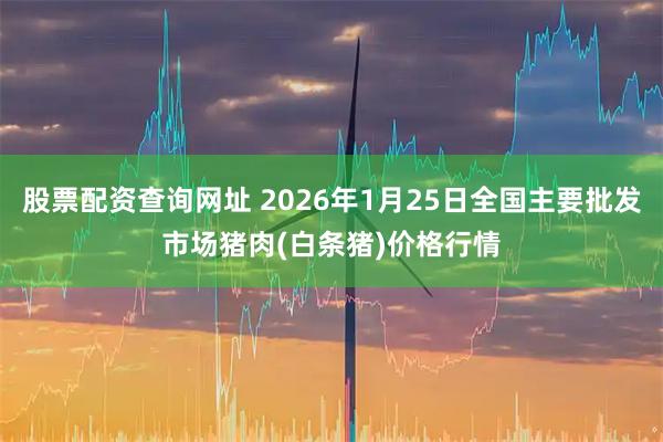 股票配资查询网址 2026年1月25日全国主要批发市场猪肉(白条猪)价格行情