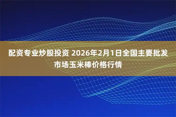 配资专业炒股投资 2026年2月1日全国主要批发市场玉米棒价格行情
